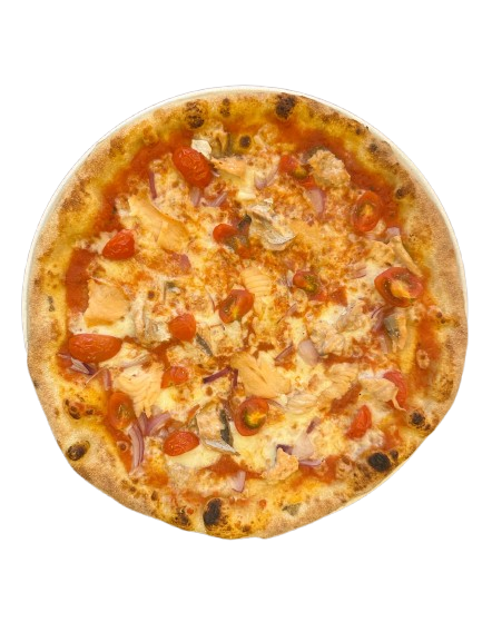 Salmon pizza_ rotated removebg preview